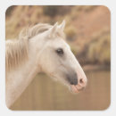 Search for wild horses stickers Equine