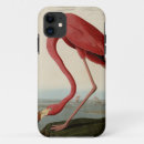 Search for picture of bird electronics Flamingo