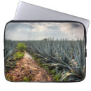 Search for drinking cases Photography