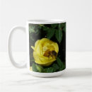 Search for pollinators mugs Gardening