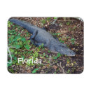 Recherche de d alligator magnets Reptile