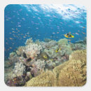 Search for pinnacles stickers Nature