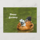 Search for in heaven birthday cards Colourful