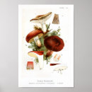 Search for edibility posters Illustration