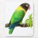 Search for lovebirds mousepads Parrot