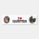 Recherche de hamster voiture autocollants Animaux