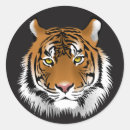 Search for tiger face stickers Animal