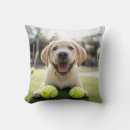 Search for tennis ball pillows Puppy