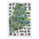 Recherche de oiseaux posters Moineaux