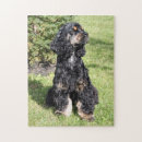 Recherche de cocker spaniel puzzles Noir