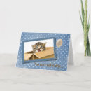 Search for cat in box cards Kitten
