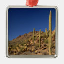 Search for tucson ornaments Cactus