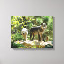 Search for wolves canvas prints Dogs