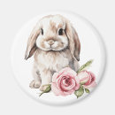 Search for bunny ears magnets Rabbit