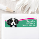 Search for mountain dog return address labels Bernese