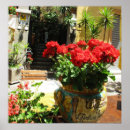 Search for flower pot posters Beautiful