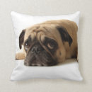Search for pug pillows Adorable