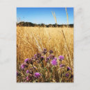 Recherche de lait cartes postales Été