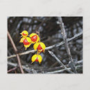 Recherche de couleurs chute cartes postales Jaune