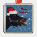Search for pony ornaments Funny