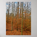 Search for stream art Autumn leaves