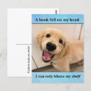 Search for dog meme postcards Golden retriever