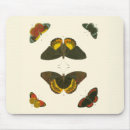 Recherche de papillons tapis souris Blanc