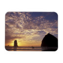 Search for coast rectangular magnets Scenic
