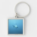 Search for sea animal keychains Aggression