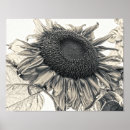 Search for sepia posters Vintage