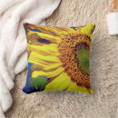 Search for insect pillows Photography