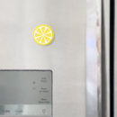 Search for lemon magnets Summer