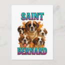 Recherche de bernard cartes postales Chiot