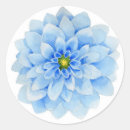 Search for nuptial stickers Floral