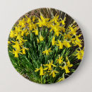 Search for daffodil buttons Yellow