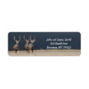 Search for buck return address labels Deer