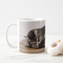 Search for sleeping tabby cat mugs Cats