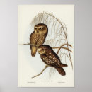 Search for spotted posters Wildlife