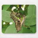 Search for tropical mousepads Pretty