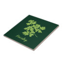 Recherche de persil carreaux Vert