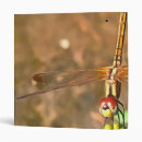 Search for resting office supplies Wildlife