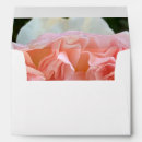 Search for money envelopes Pretty