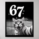 Search for cat meme posters Snack