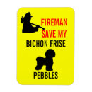 Recherche de bichon magnets Chien