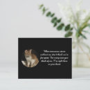 Search for for loss of cat sympathy cards Memorial