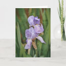 Search for impressionism cards Garden