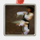 Search for ethnicities ornaments Horizontal