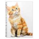 Search for tabby cat notebooks Watercolor
