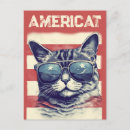 Recherche de chat patriotique cartes postales Américain