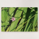 Search for tiny puzzles Pink